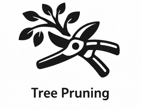 tree_pruning_fixed (1)